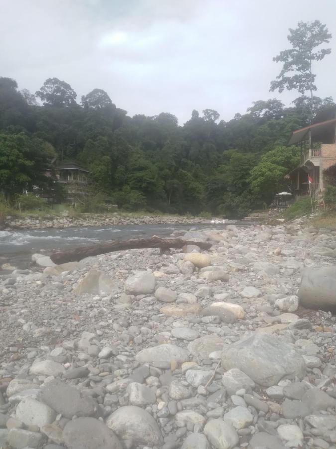 Hotel Umiyuki Jungle Tour Only Treking With As Bukit Lawang Exterior foto